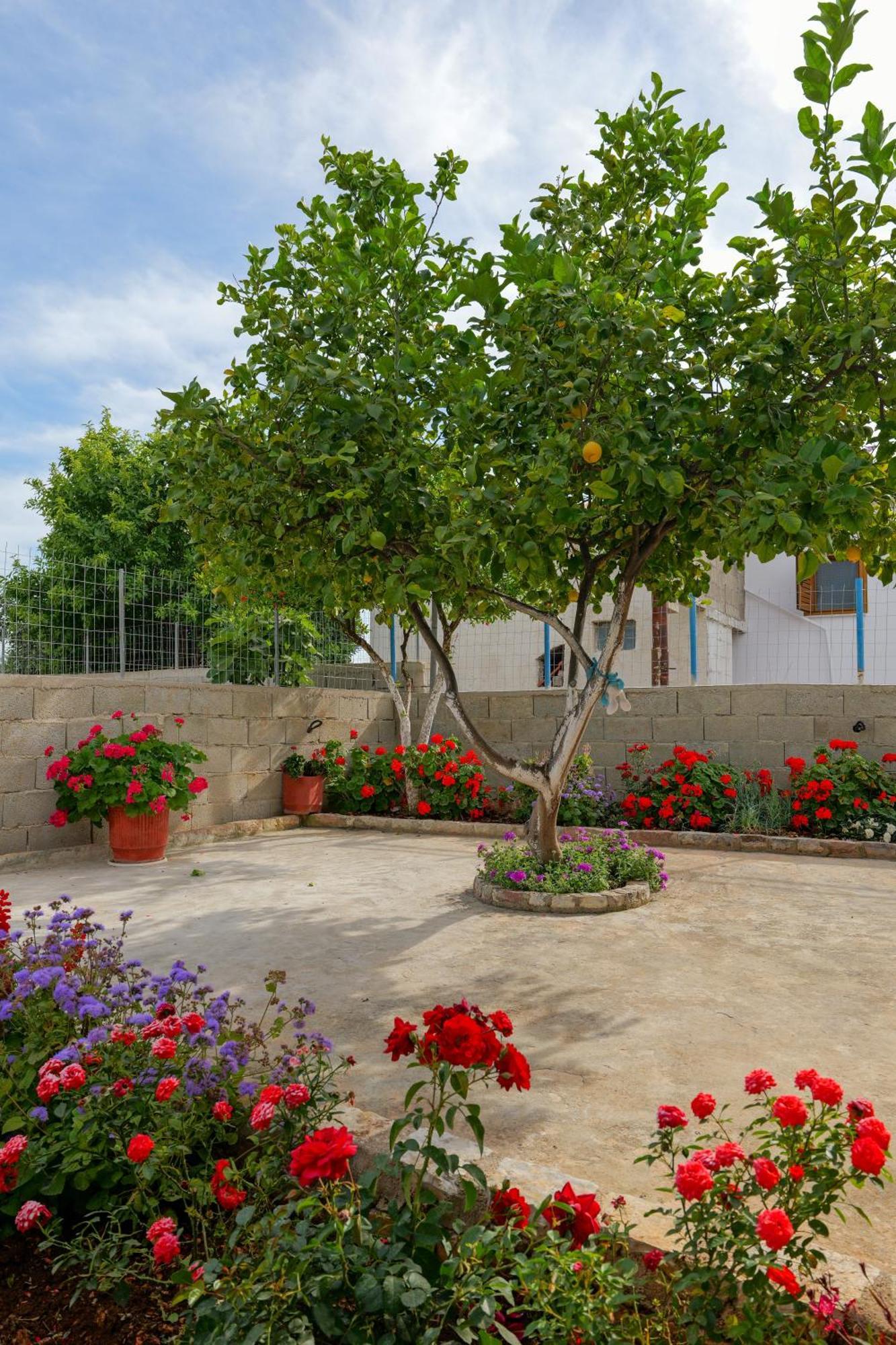 Brahimi Guest House Ksamil Eksteriør bilde